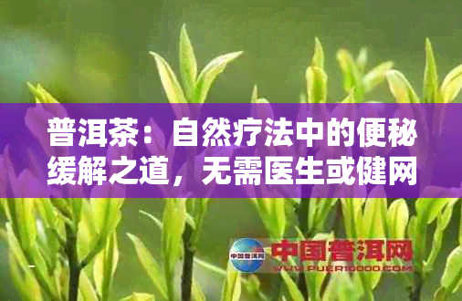 普洱茶：自然疗法中的便秘缓解之道，无需医生或健网站的参与