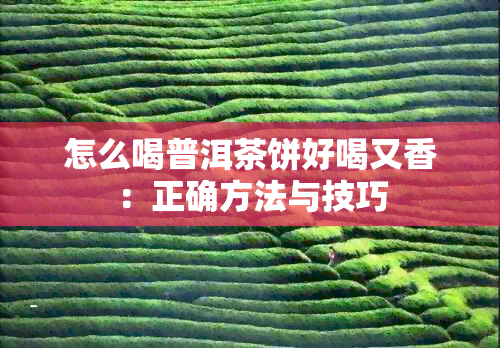 怎么喝普洱茶饼好喝又香：正确方法与技巧