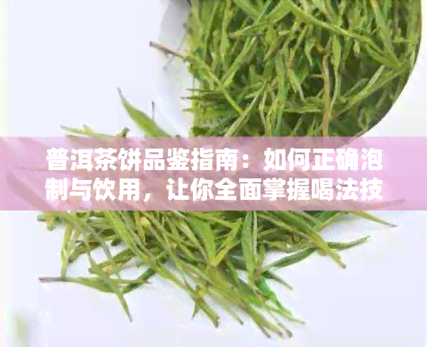 普洱茶饼品鉴指南：如何正确泡制与饮用，让你全面掌握喝法技巧