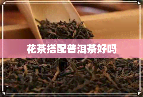 花茶搭配普洱茶好吗