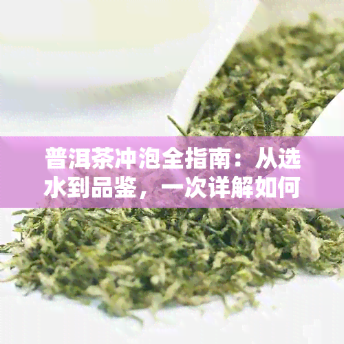 普洱茶冲泡全指南：从选水到品鉴，一次详解如何制作一杯完美的普洱茶