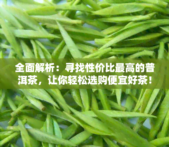 全面解析：寻找性价比更高的普洱茶，让你轻松选购便宜好茶！