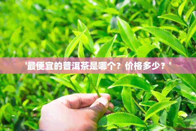 '更便宜的普洱茶是哪个？价格多少？'