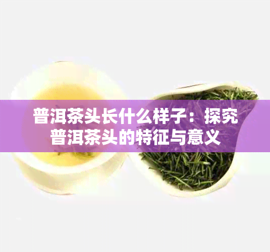 普洱茶头长什么样子：探究普洱茶头的特征与意义