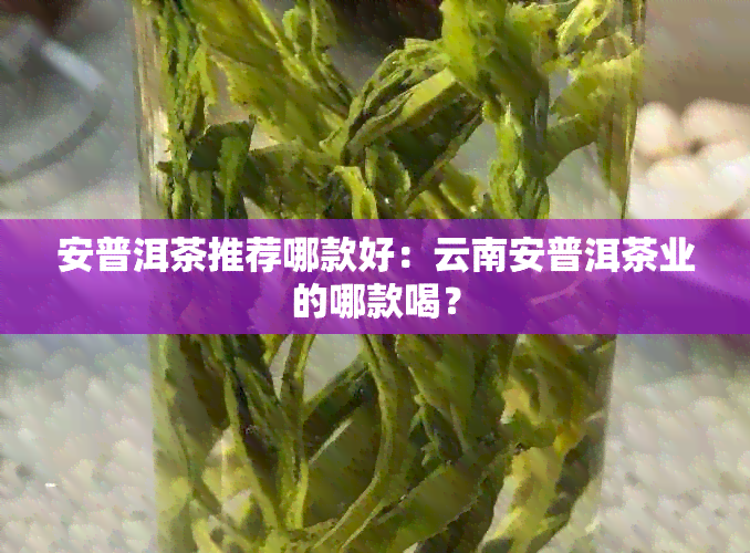 安普洱茶推荐哪款好：云南安普洱茶业的哪款喝？