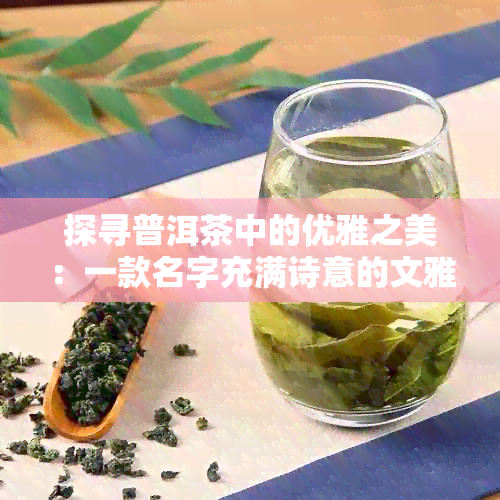 探寻普洱茶中的优雅之美：一款名字充满诗意的文雅普洱茶大全