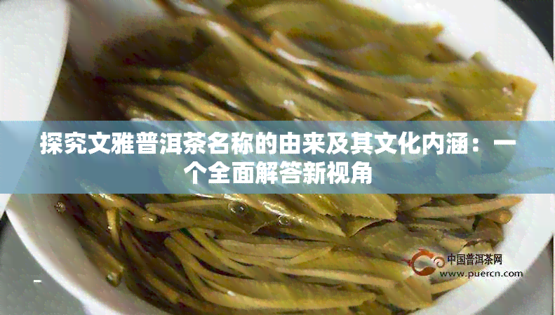 探究文雅普洱茶名称的由来及其文化内涵：一个全面解答新视角