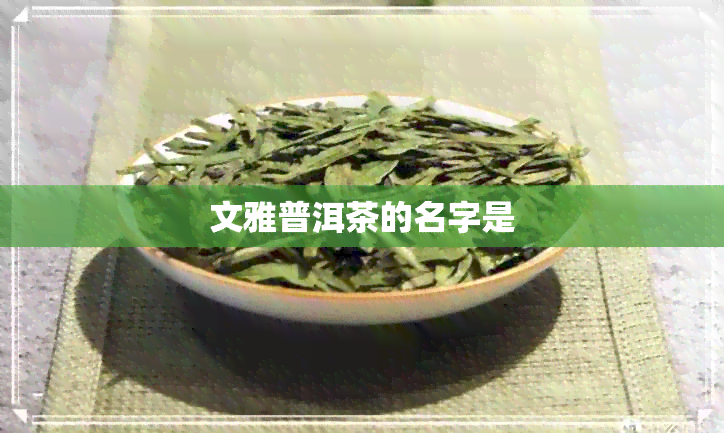 文雅普洱茶的名字是