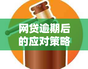 网贷逾期后的应对策略：如何有效减少短信和信息