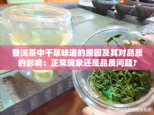 普洱茶中干草味道的原因及其对品质的影响：正常现象还是品质问题？