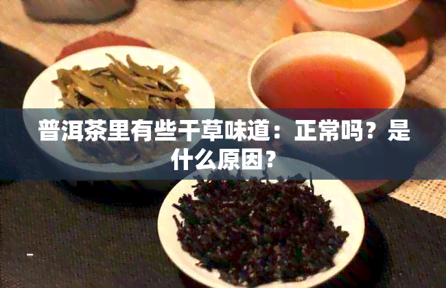 普洱茶里有些干草味道：正常吗？是什么原因？