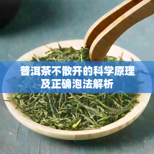 普洱茶不散开的科学原理及正确泡法解析