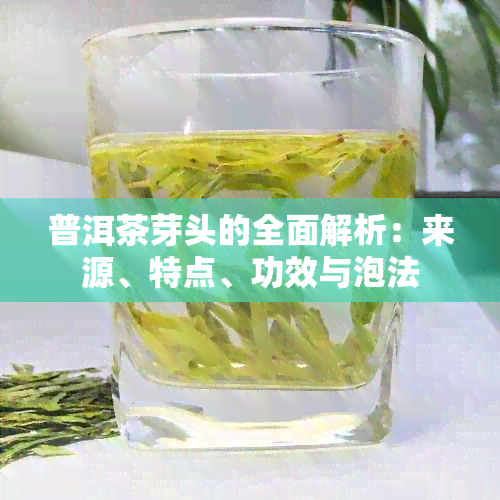 普洱茶芽头的全面解析：来源、特点、功效与泡法