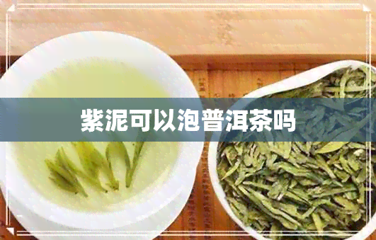 紫泥可以泡普洱茶吗