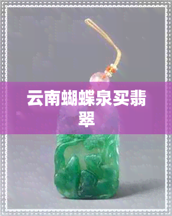 云南蝴蝶泉买翡翠