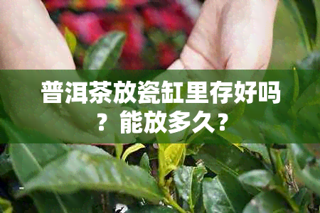 普洱茶放瓷缸里存好吗？能放多久？