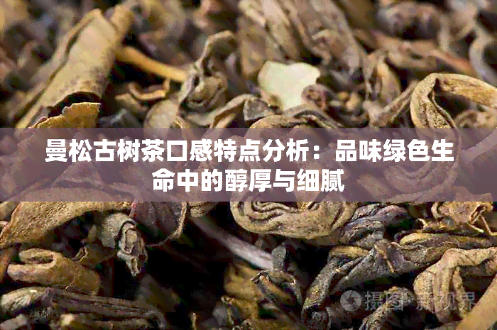 曼松古树茶口感特点分析：品味绿色生命中的醇厚与细腻