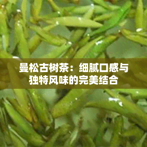 曼松古树茶：细腻口感与独特风味的完美结合