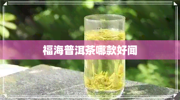 福海普洱茶哪款好闻