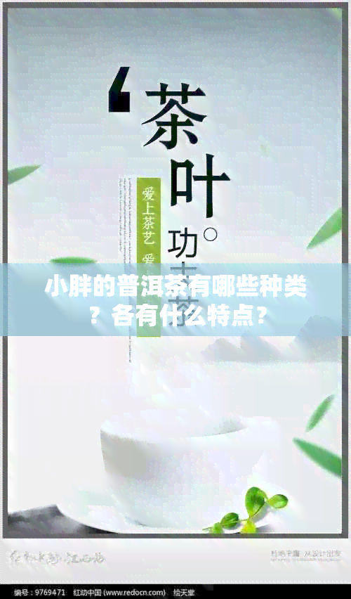 小胖的普洱茶有哪些种类？各有什么特点？