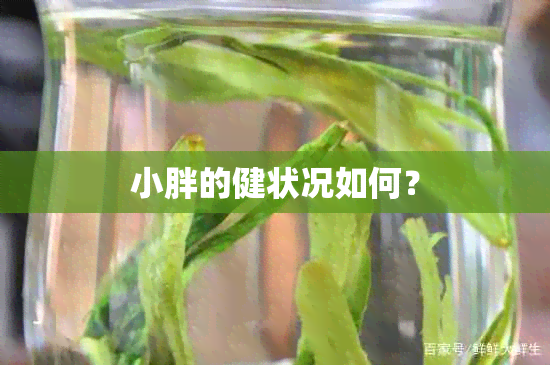 小胖的健状况如何？