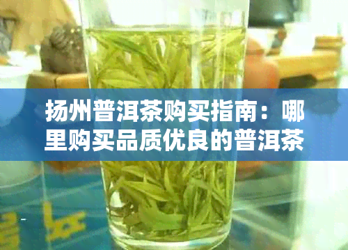 扬州普洱茶购买指南：哪里购买品质优良的普洱茶？