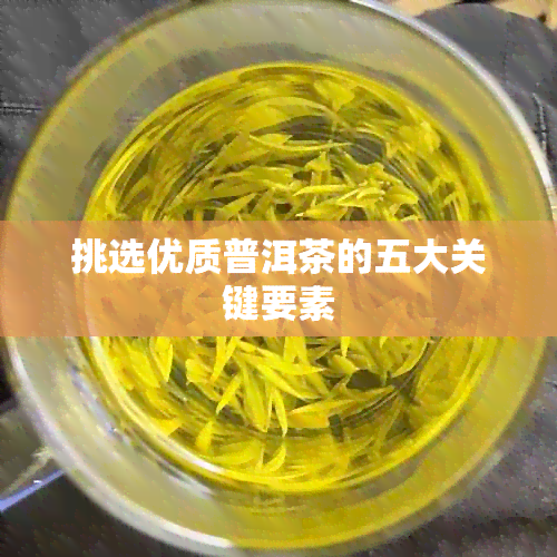 挑选优质普洱茶的五大关键要素