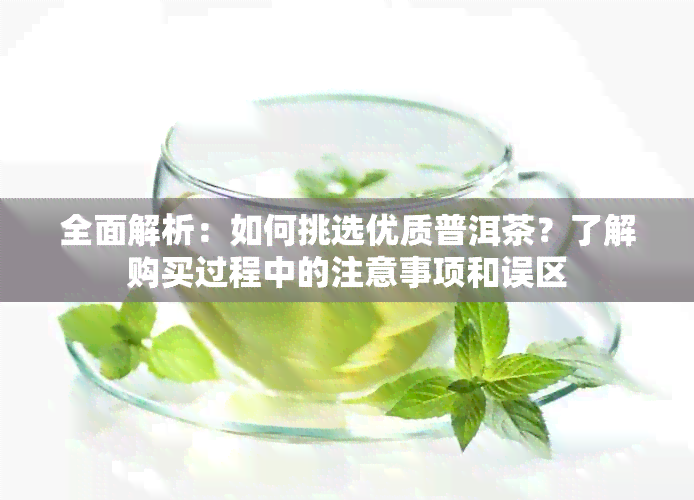 全面解析：如何挑选优质普洱茶？了解购买过程中的注意事项和误区