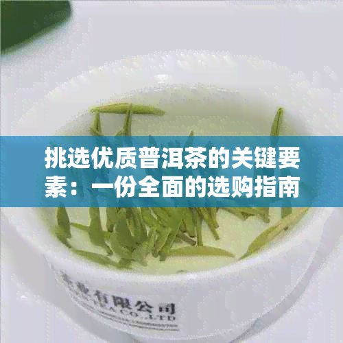 挑选优质普洱茶的关键要素：一份全面的选购指南