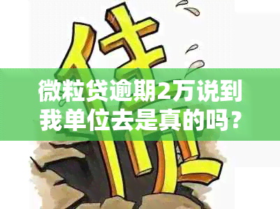 微粒贷逾期2万说到我单位去是真的吗？会安全吗？逾期20天会联系单位吗？