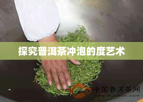 探究普洱茶冲泡的度艺术