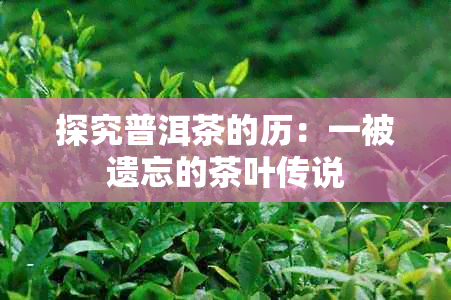 探究普洱茶的历：一被遗忘的茶叶传说