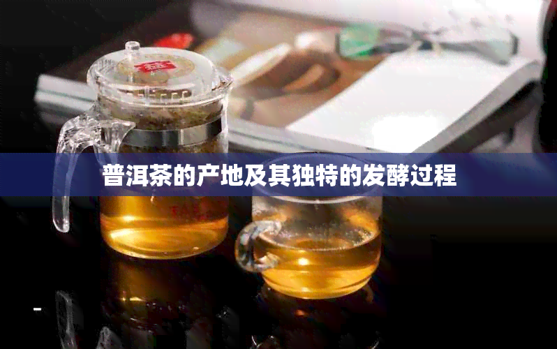 普洱茶的产地及其独特的发酵过程