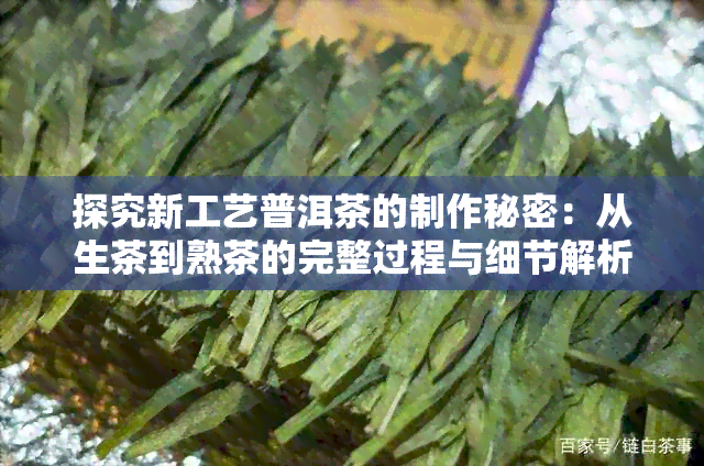 探究新工艺普洱茶的制作秘密：从生茶到熟茶的完整过程与细节解析