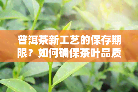 普洱茶新工艺的保存期限？如何确保茶叶品质稳定？