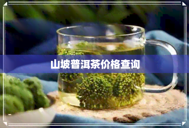 山坡普洱茶价格查询