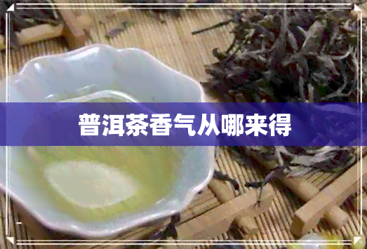 普洱茶香气从哪来得