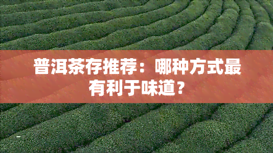 普洱茶存推荐：哪种方式最有利于味道？