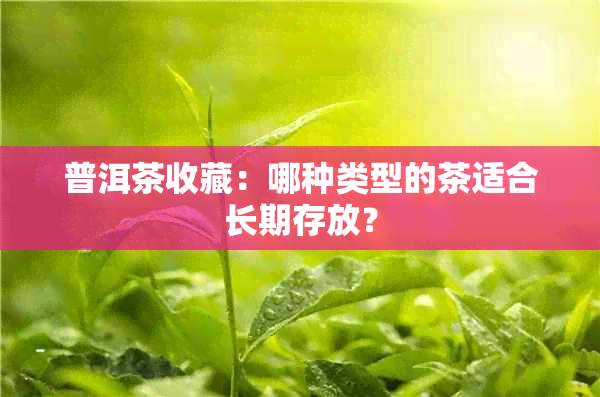 普洱茶收藏：哪种类型的茶适合长期存放？