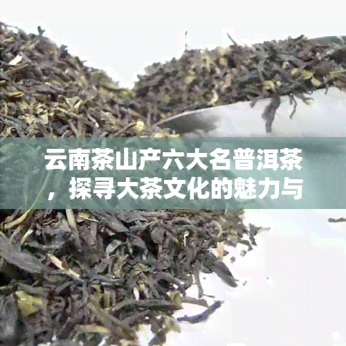 云南茶山产六大名普洱茶，探寻大茶文化的魅力与四大茶品的奥秘