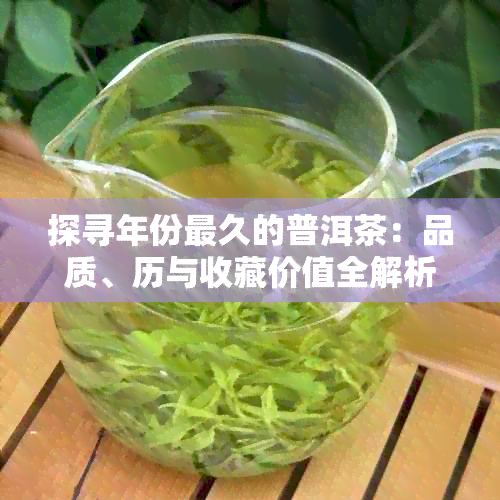 探寻年份最久的普洱茶：品质、历与收藏价值全解析