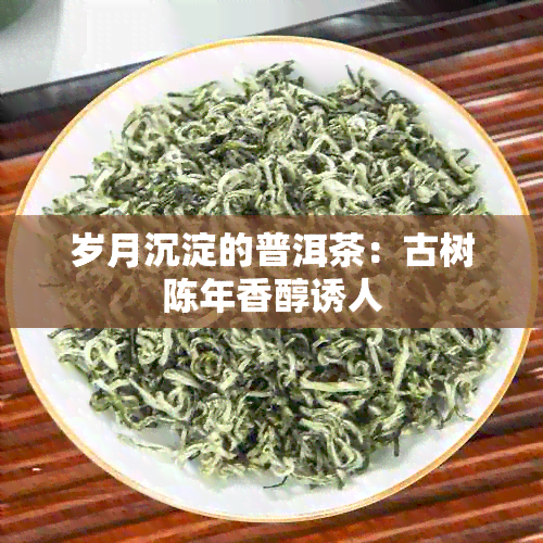 岁月沉淀的普洱茶：古树陈年香醇诱人