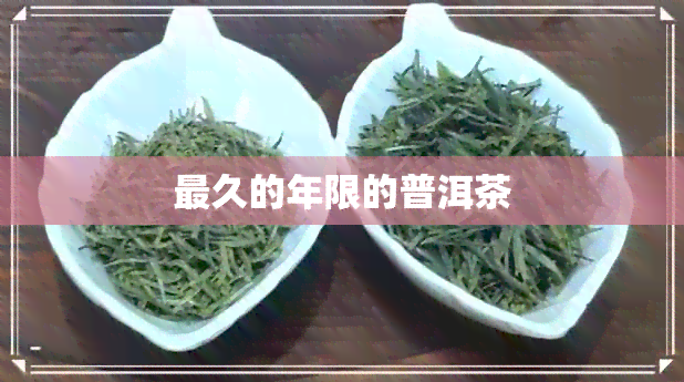 最久的年限的普洱茶