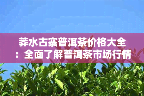 莽水古寨普洱茶价格大全：全面了解普洱茶市场行情及各种等级的价格信息