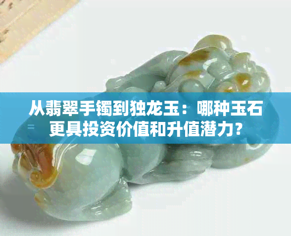 从翡翠手镯到独龙玉：哪种玉石更具投资价值和升值潜力？