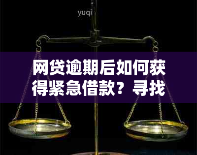 网贷逾期后如何获得紧急借款？寻找适合您的借款渠道和解决方案