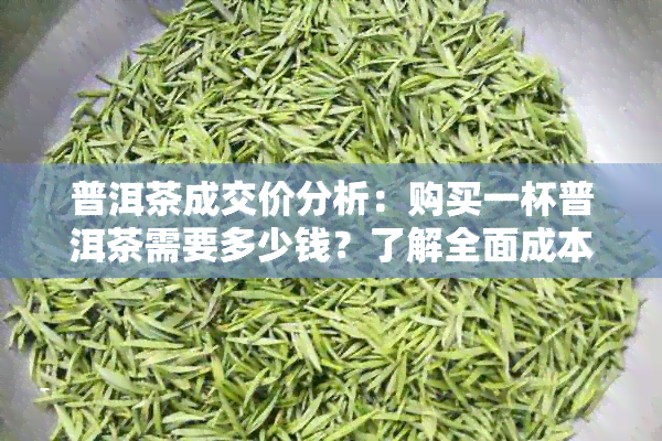 普洱茶成交价分析：购买一杯普洱茶需要多少钱？了解全面成本以做出明智选择