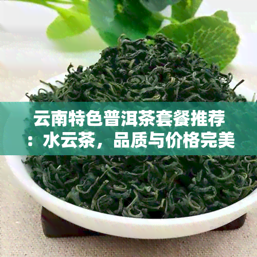 云南特色普洱茶套餐推荐：水云茶，品质与价格完美平