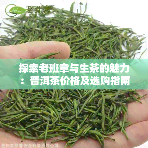 探索老班章与生茶的魅力：普洱茶价格及选购指南