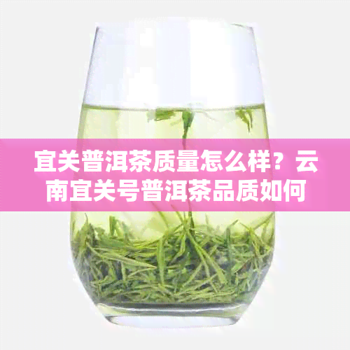 宜关普洱茶质量怎么样？云南宜关号普洱茶品质如何？